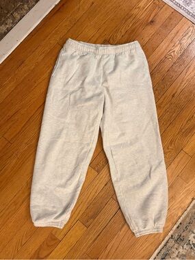 Aritzia Sweatfleece Cozy Fleece Grey Joggers